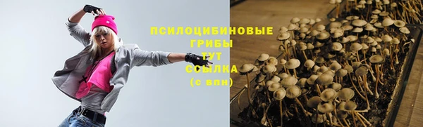 кокс Аркадак