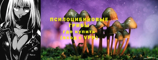 кокс Аркадак