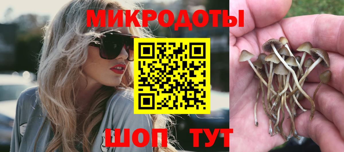 Псилоцибиновые грибы ЛСД  Псилоцибиновые грибы MAGIC MUSHROOMS  Бугульма  Вход с VPN 
